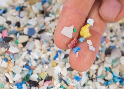 Human world suffers from microplastic, suffocating people's life